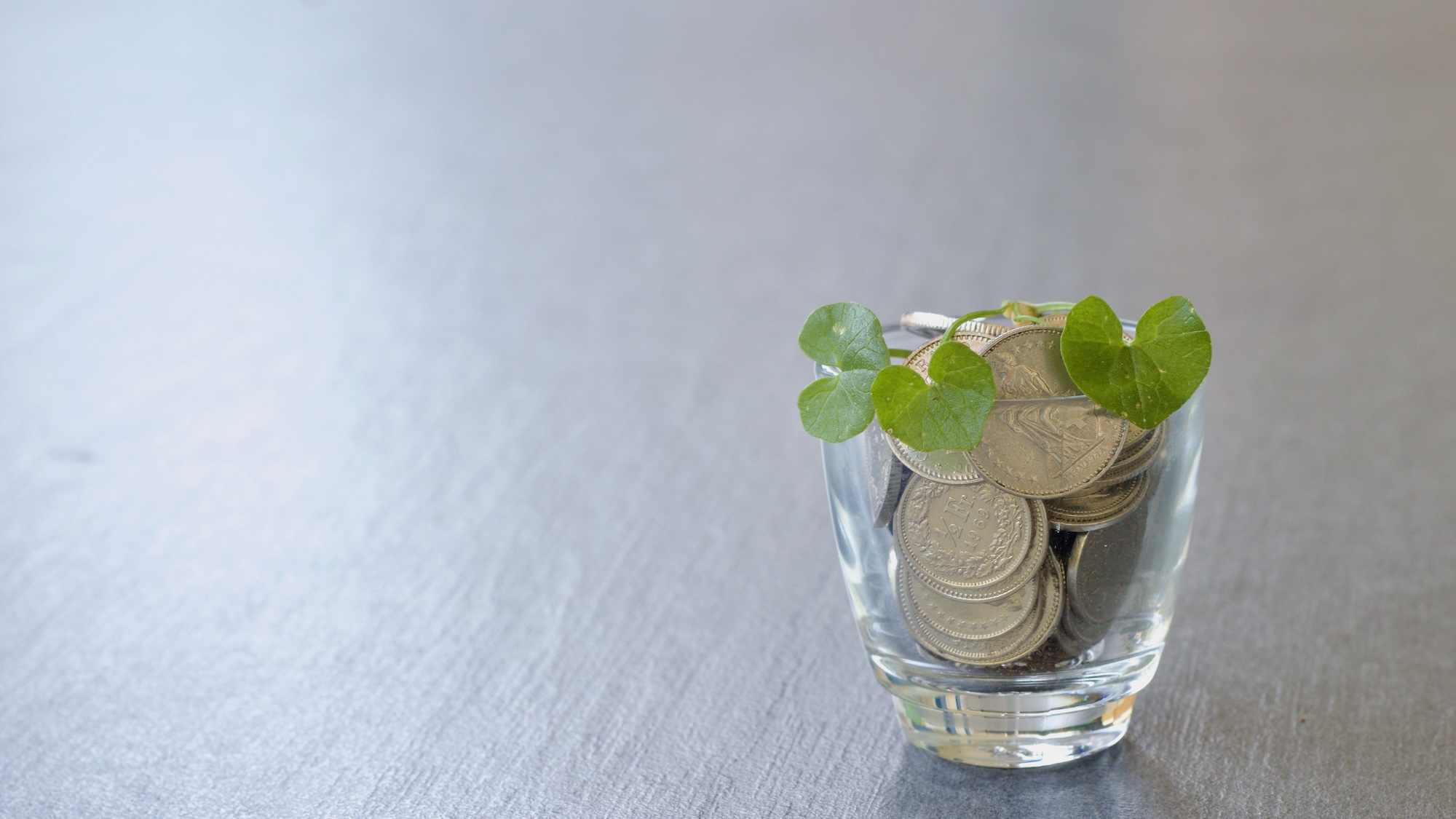 Ihr Spargeld kann dazu beitragen, die Umwelt zu schützen